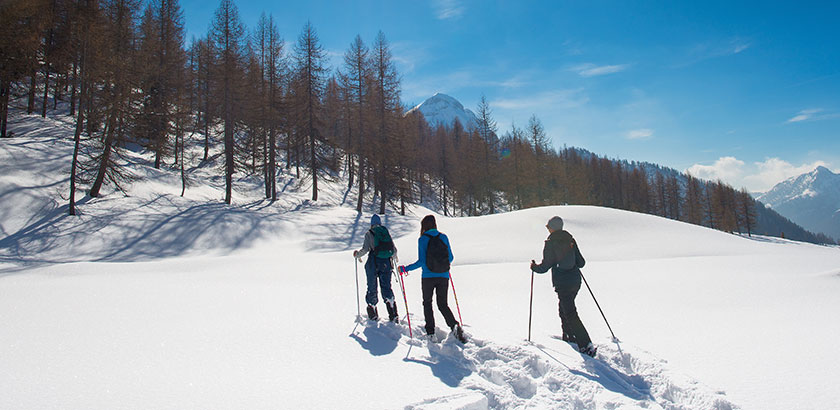 Ski de fond et raquettes