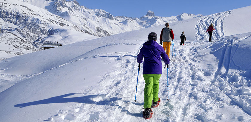 Raquettes à neige